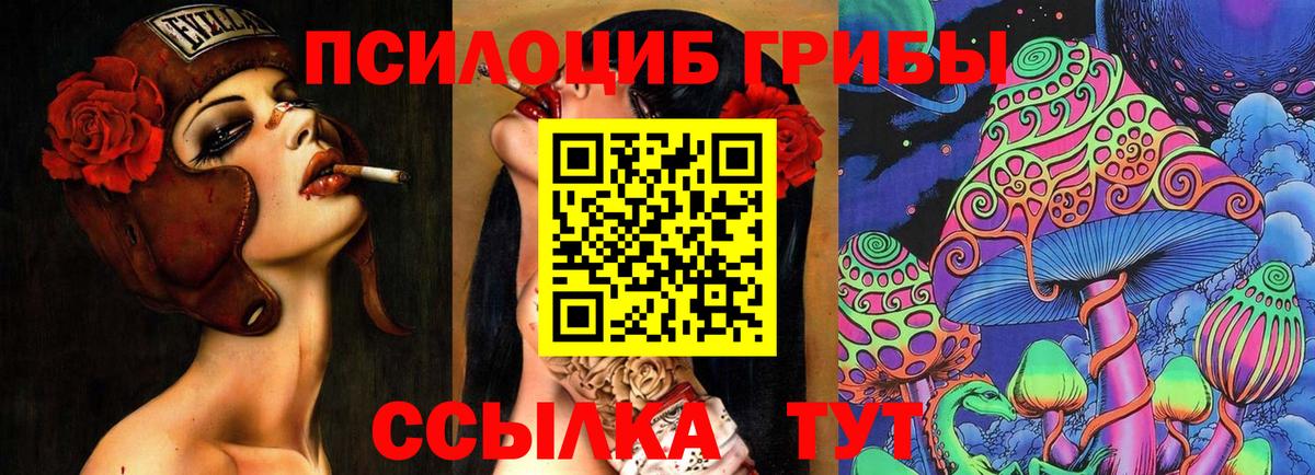 Галлюциногенные грибы Cubensis  Галлюциногенные грибы MAGIC MUSHROOMS  Камышлов  Вход с VPN 