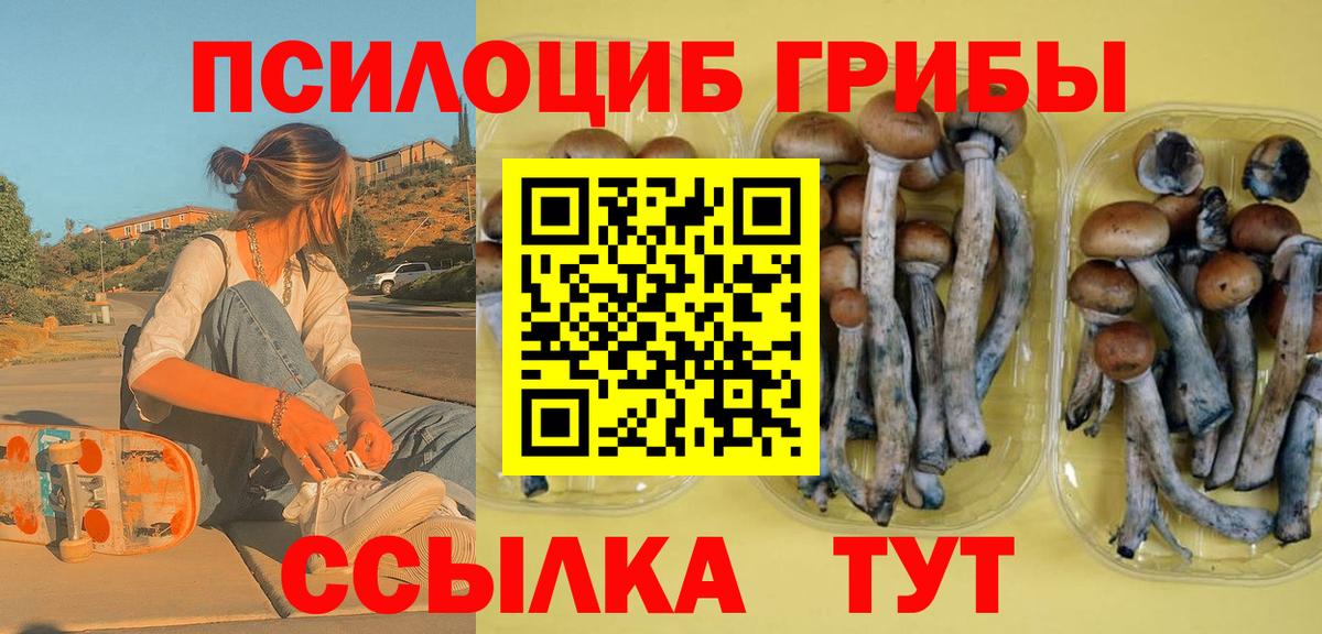 Псилоцибиновые грибы мицелий Камышлов