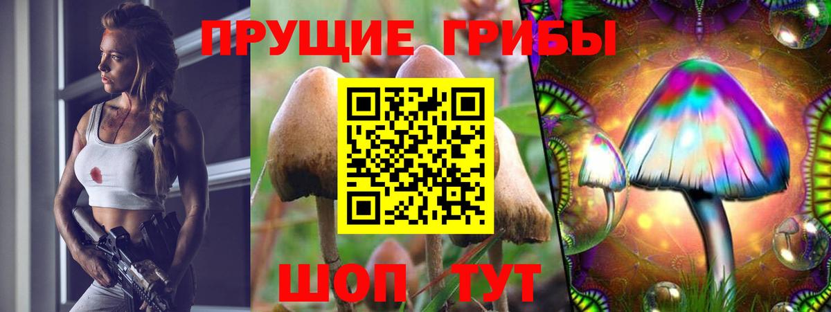 Метадон  Амфетамин   ЭКСТАЗИ  ГАШИШ  Камышлов  Cocaine  Конопля  Codein  Вход с VPN  Меф МЯУ МЯУ кристаллы  Альфа ПВП СОЛЬ   КЕТАМИН 